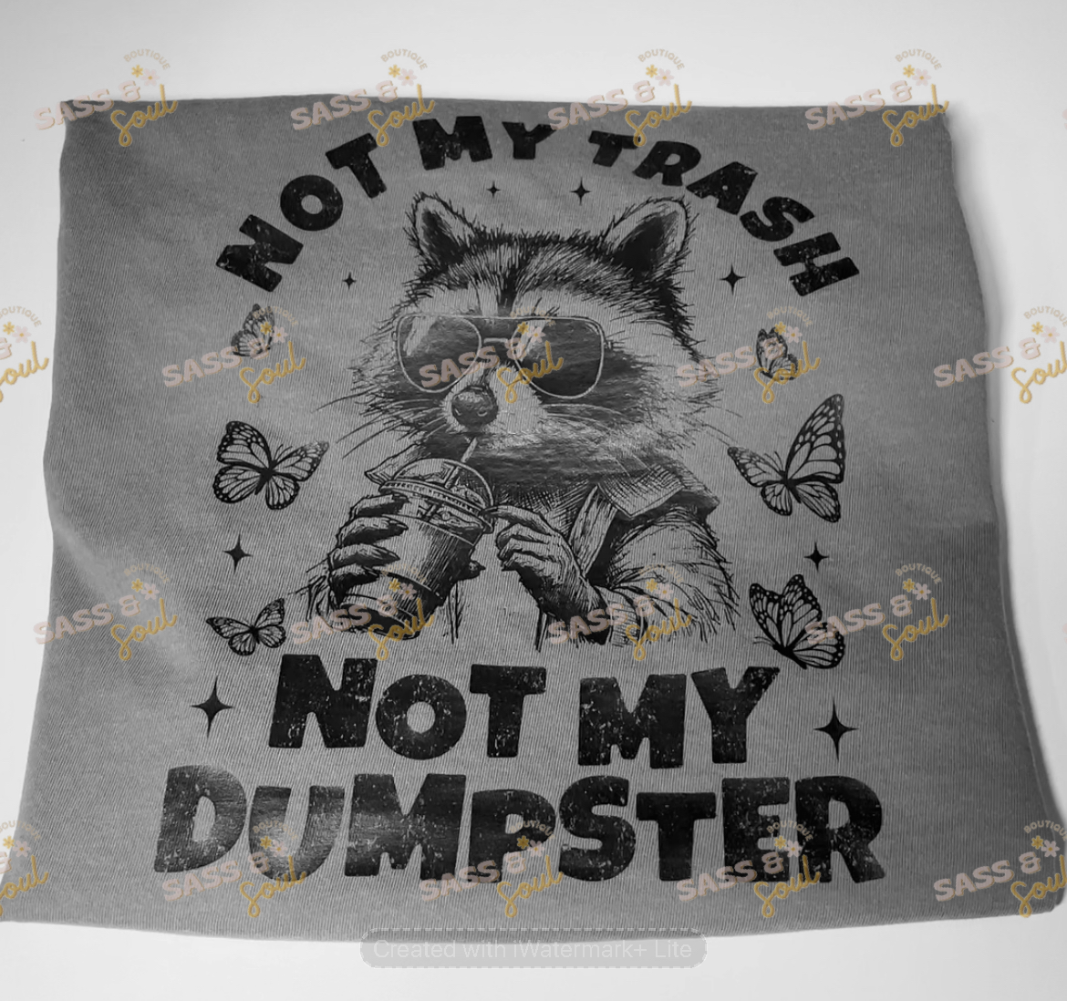 Not My Trash Not My Dumpster