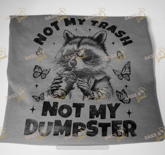 Not My Trash Not My Dumpster