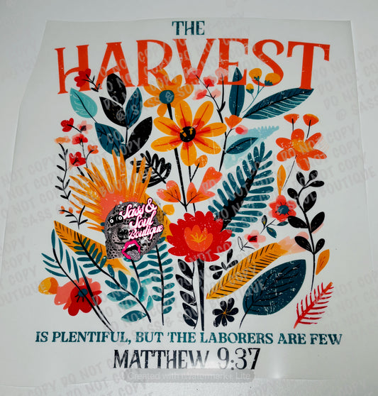 The Harvest Is Plentiful