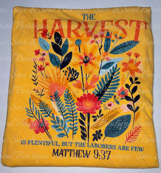 The Harvest Is Plentiful
